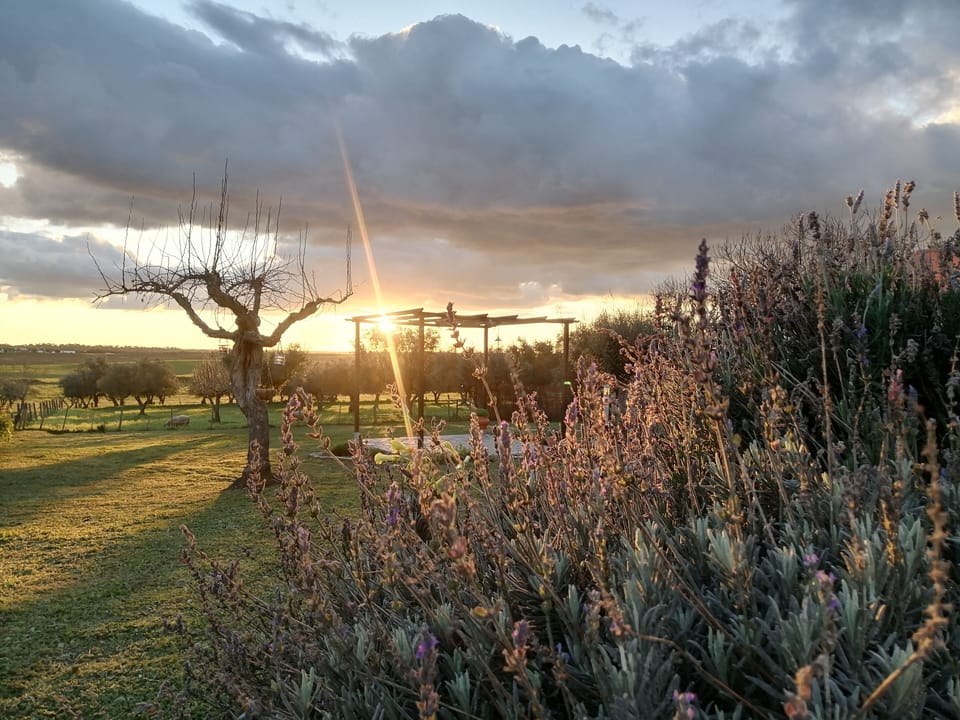 Pôr do sol (inverno)