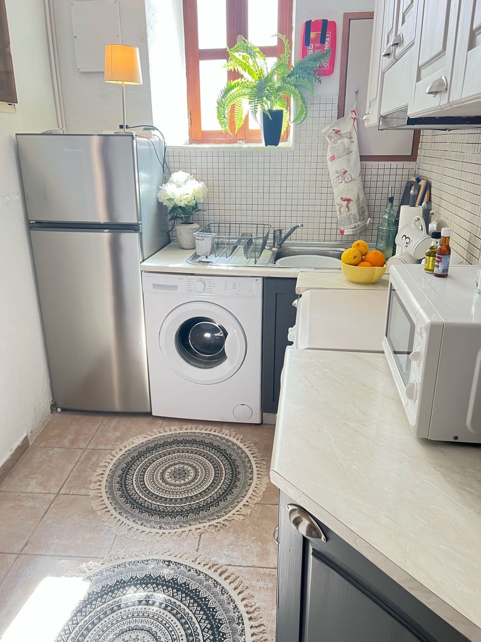 Kitchen - Fridge and Washing Machine 