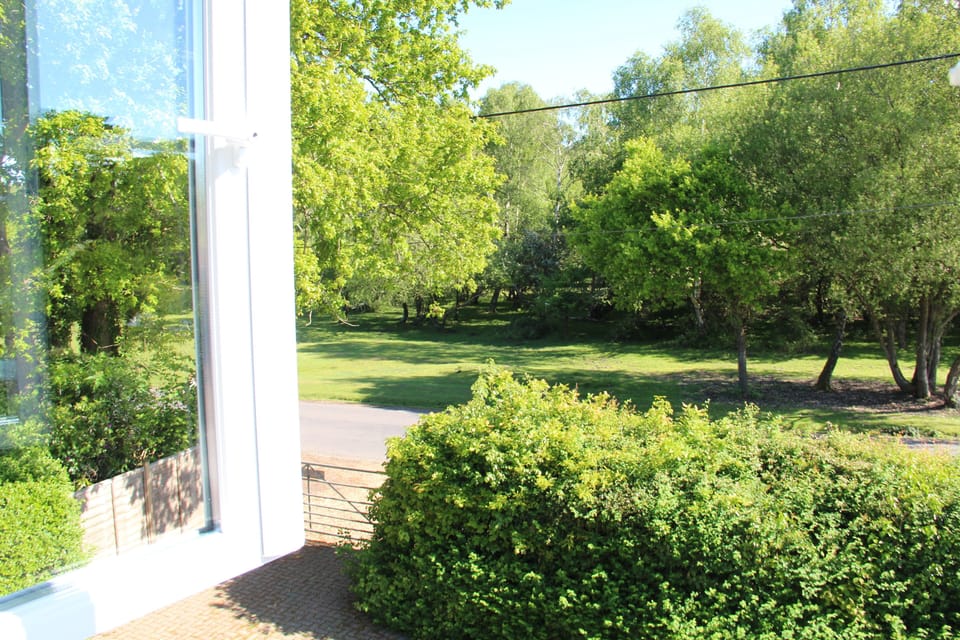 View from master bedroom