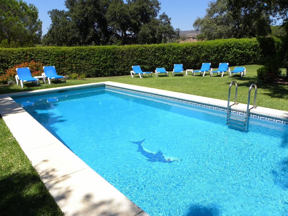 Swimming pool and deck chairs