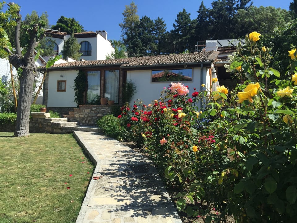 Garden House in spring