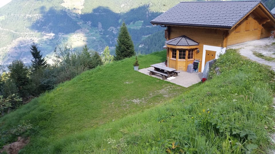 Beautiful garden