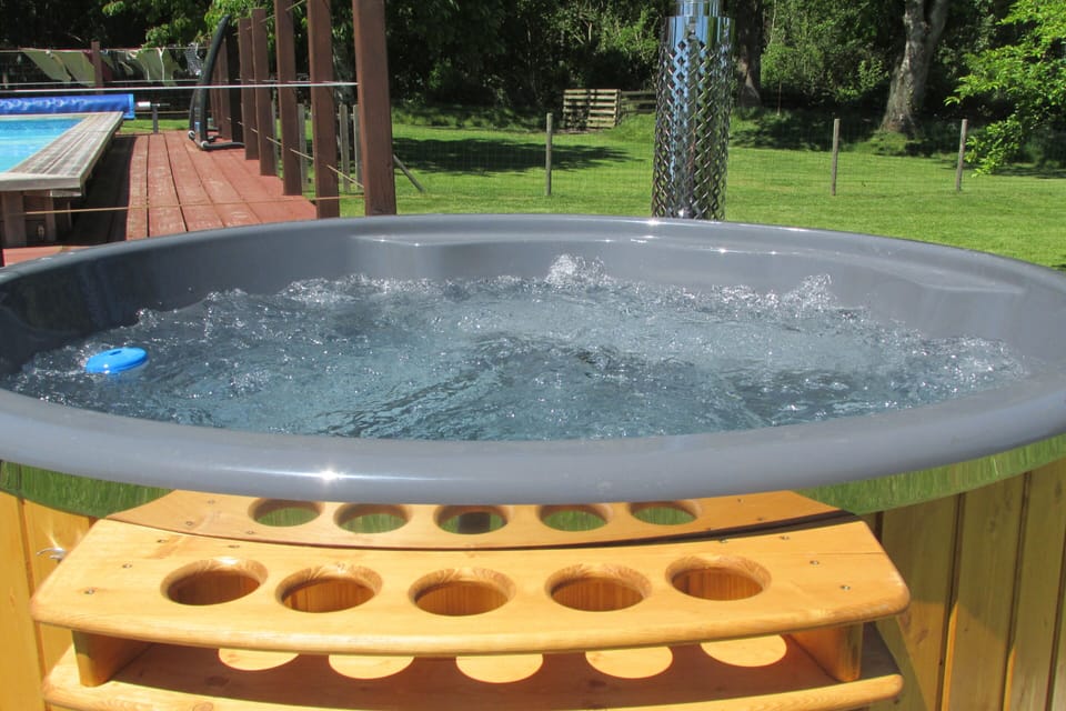 The 8x4metre pool