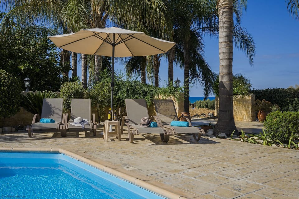 Pool Terrace/Palm Trees