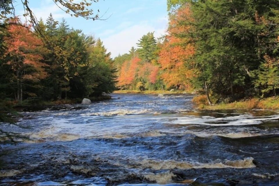 Fall in Kejimkujik National Park - Nova Scotia