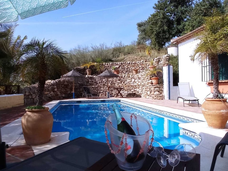 Enjoy a glass of bubbly,  read a book, sunbathe, swim or just do nothing,  relax
