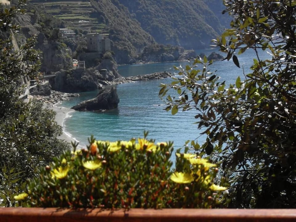 view from terrace
