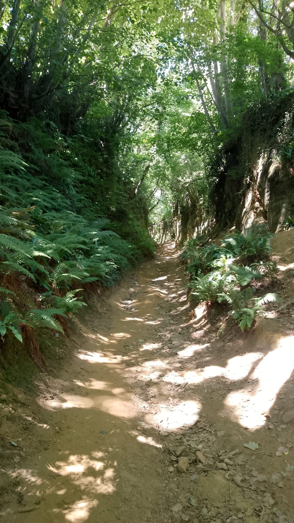 Shute lane leading to Hell Lane. 