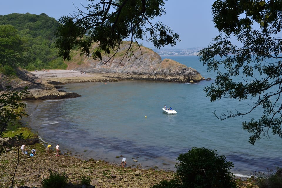 Fishcombe Cove (5 minutes walk)