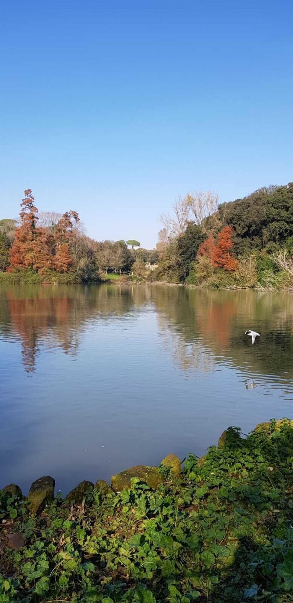 Villa Pamphily - Parco Storico