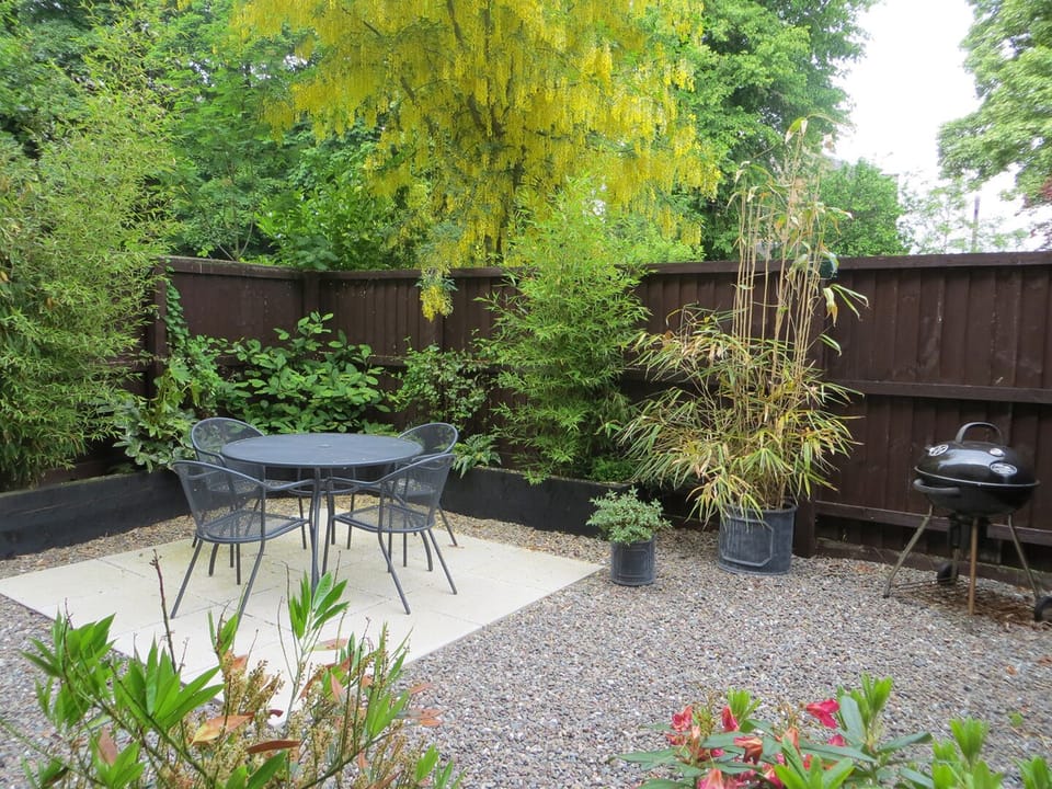 PATIO GARDEN