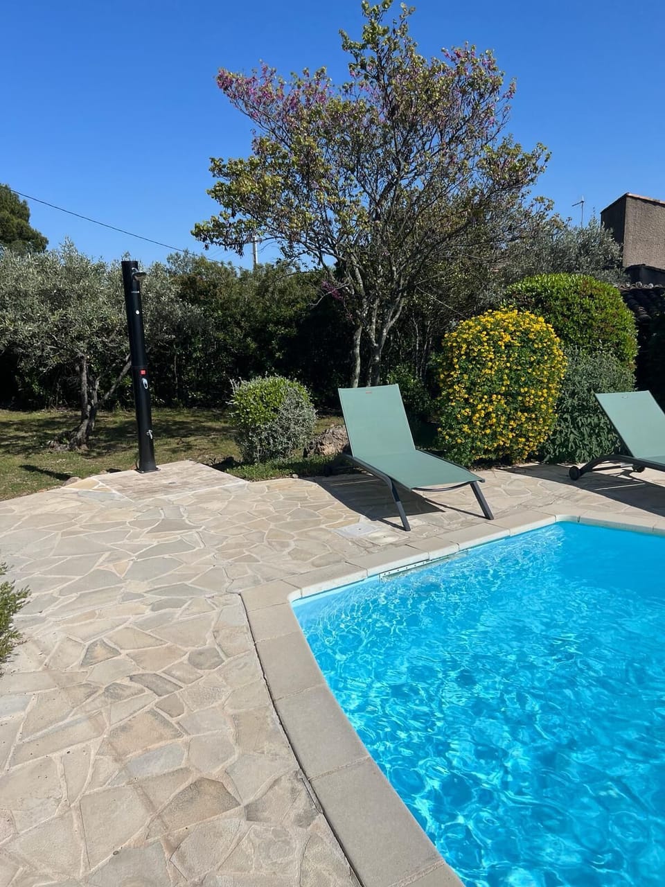Pool and outdoor solar shower