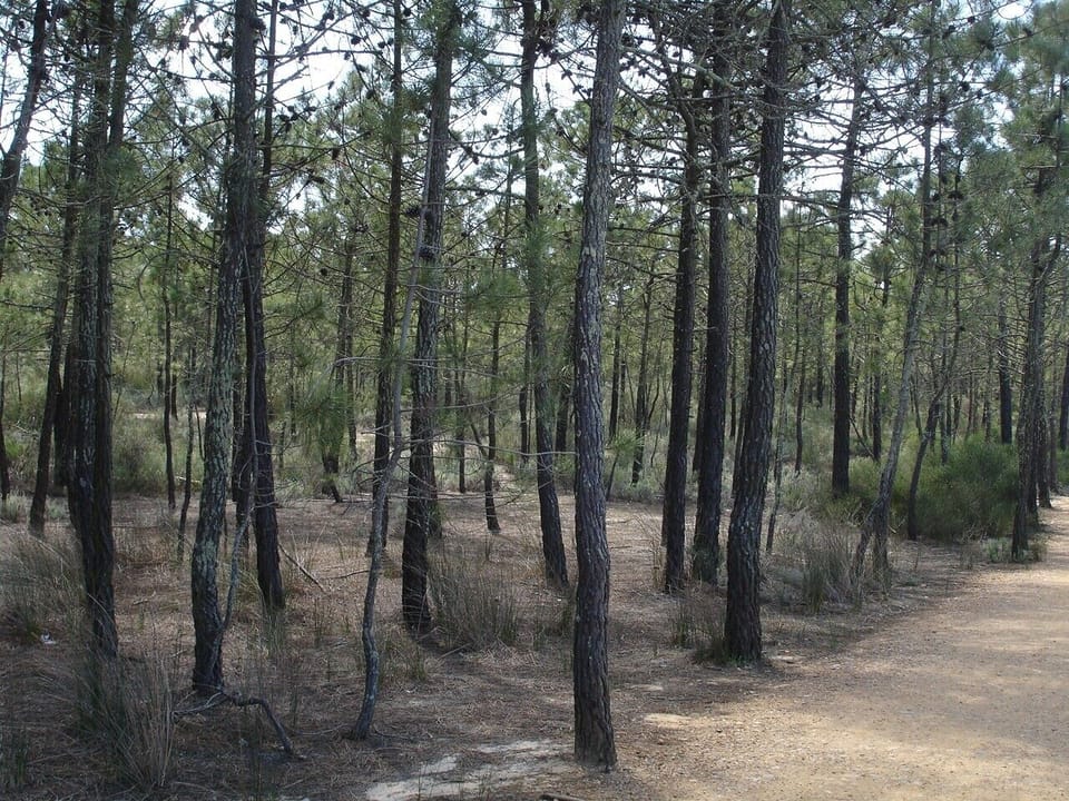 Another view of the natural reserve