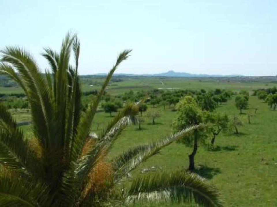 Overview