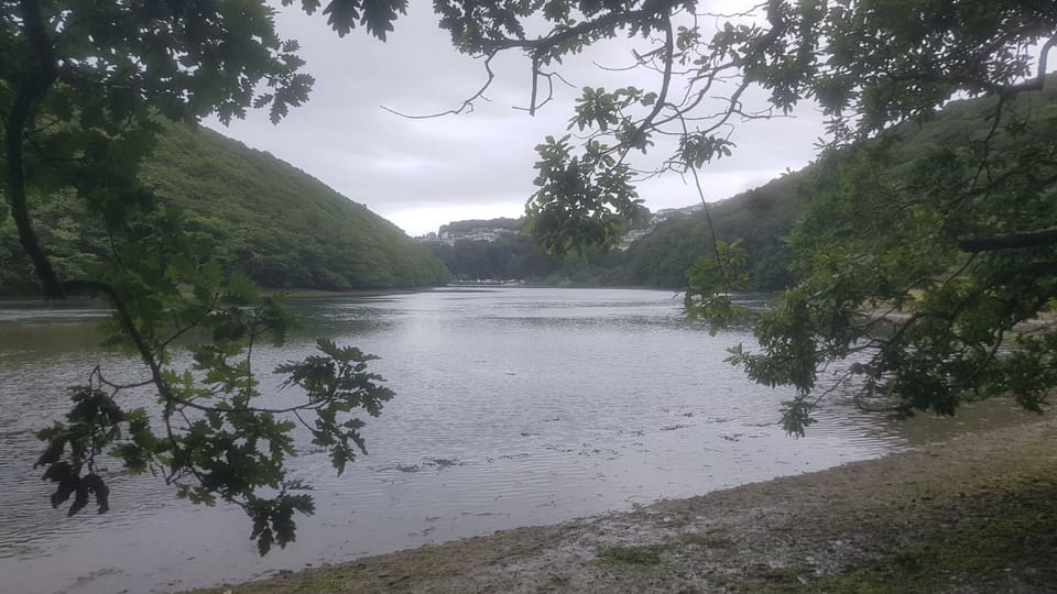 Walk to Looe through the woods from the cottage