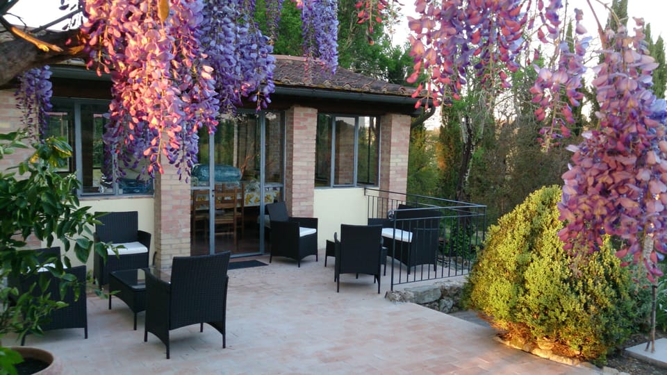 new patio