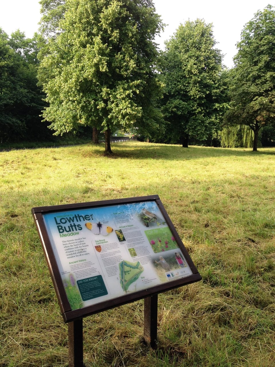 Plenty of space to have fun! There is a new BMX cycle track in the woods.