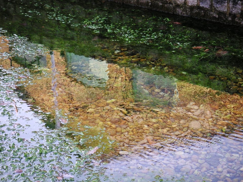 The Spring