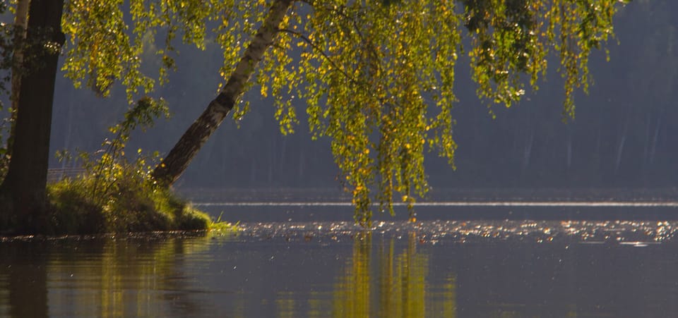View of the surrounding lake