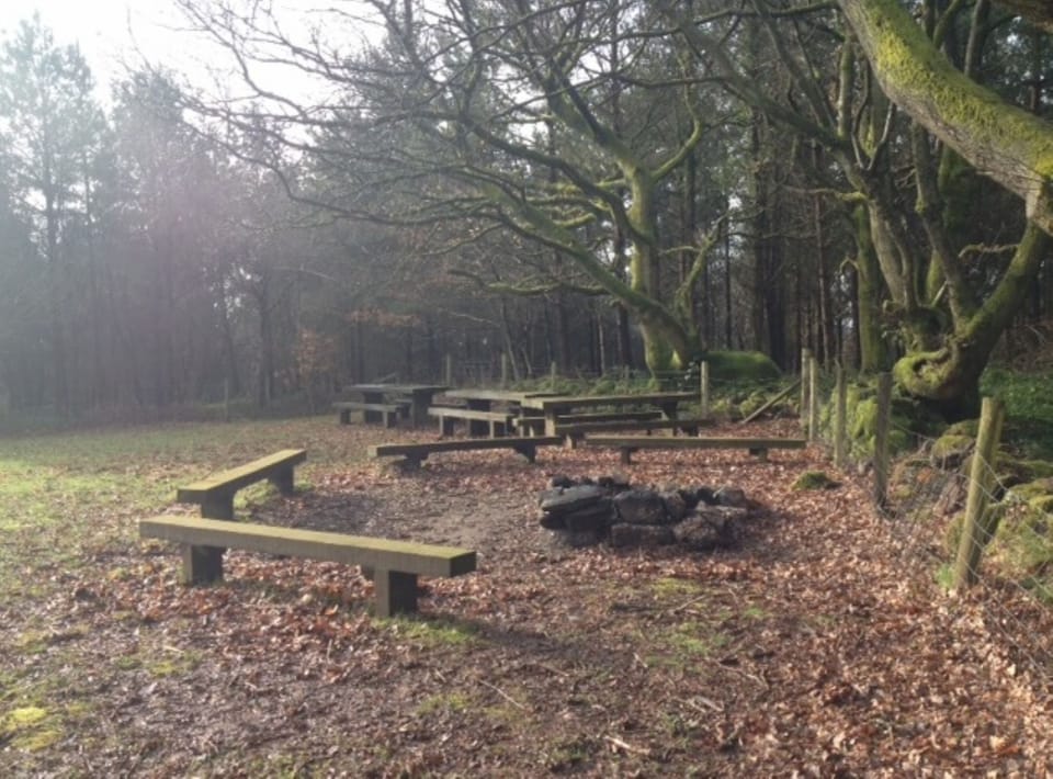 Picnic Table and Camp Fire