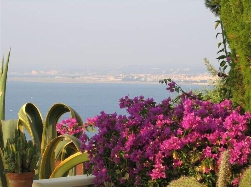 garden veiw to  Nice