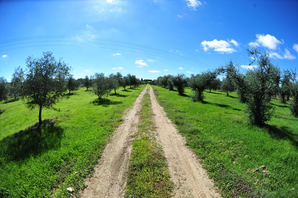 Estrada de acesso à casa dentro da propriedade