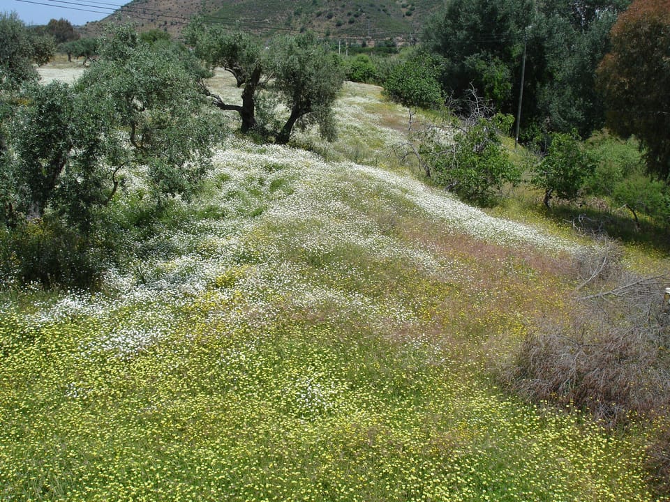 The Algarve in the Spring!