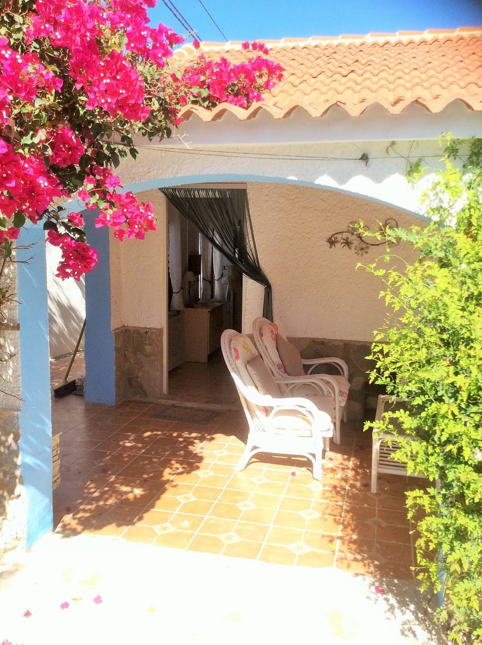 Garden, Pool, Olive tree