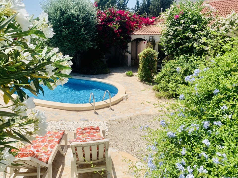 Pool and sun loungers