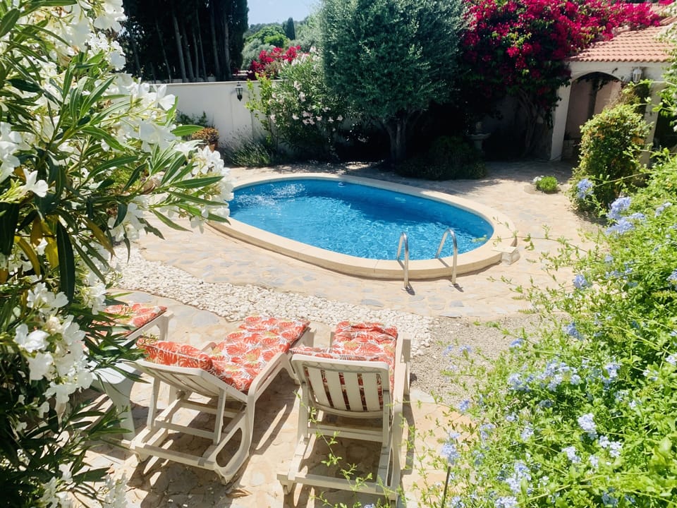 Pool and sun loungers