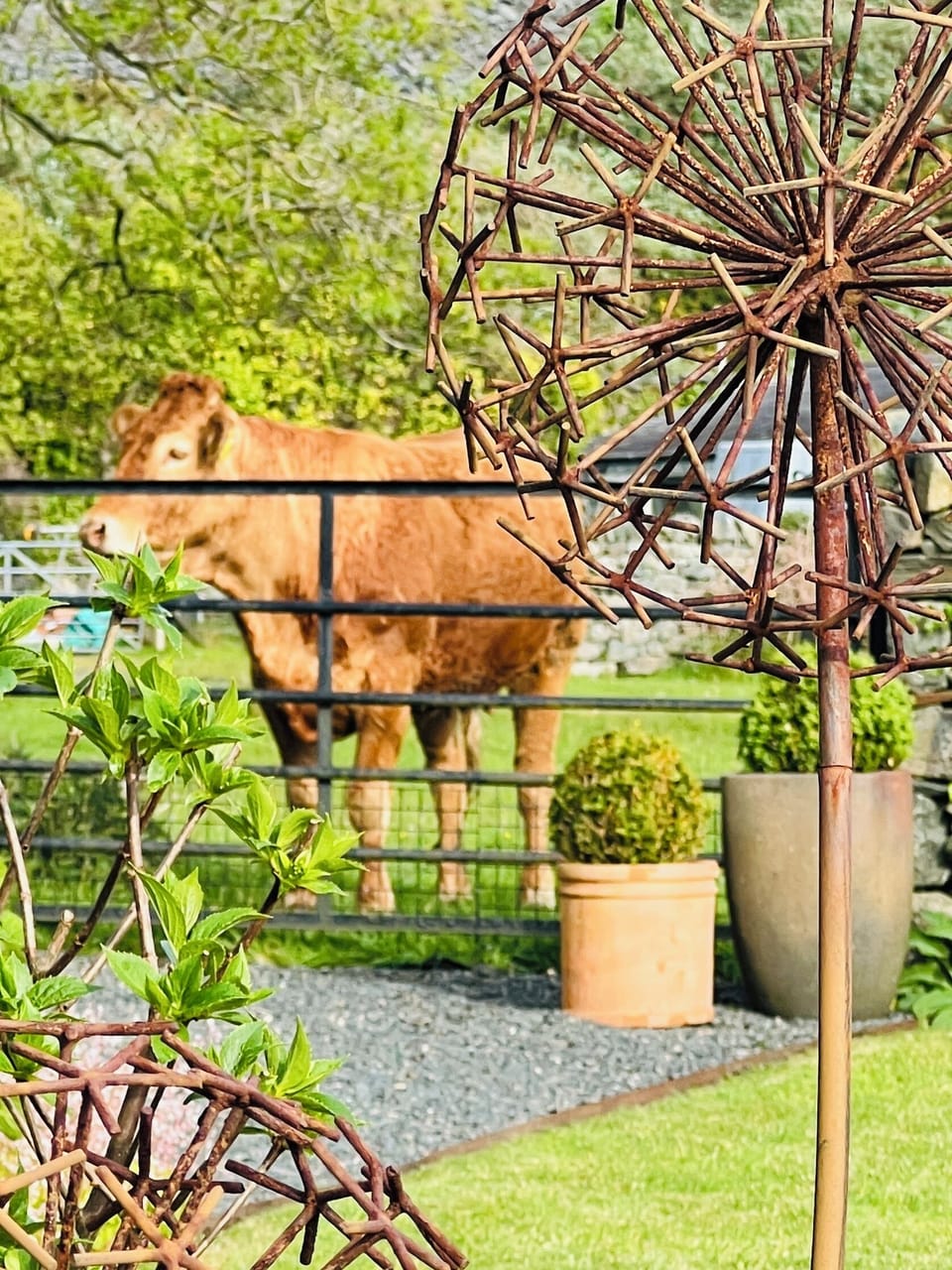 Our garden with access to hill walk footpaths