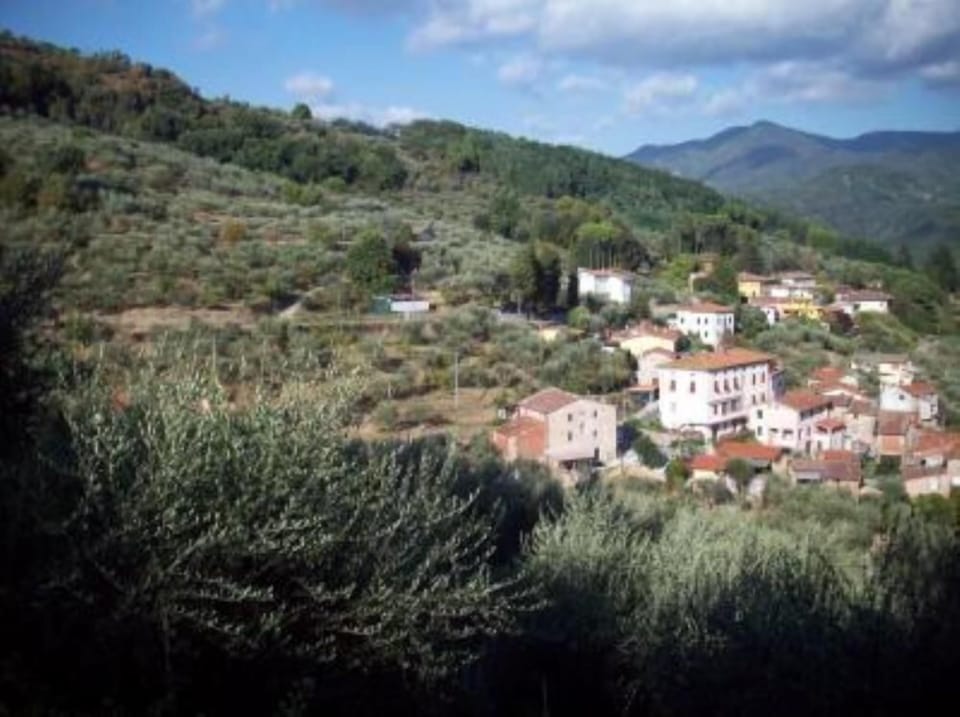 The village