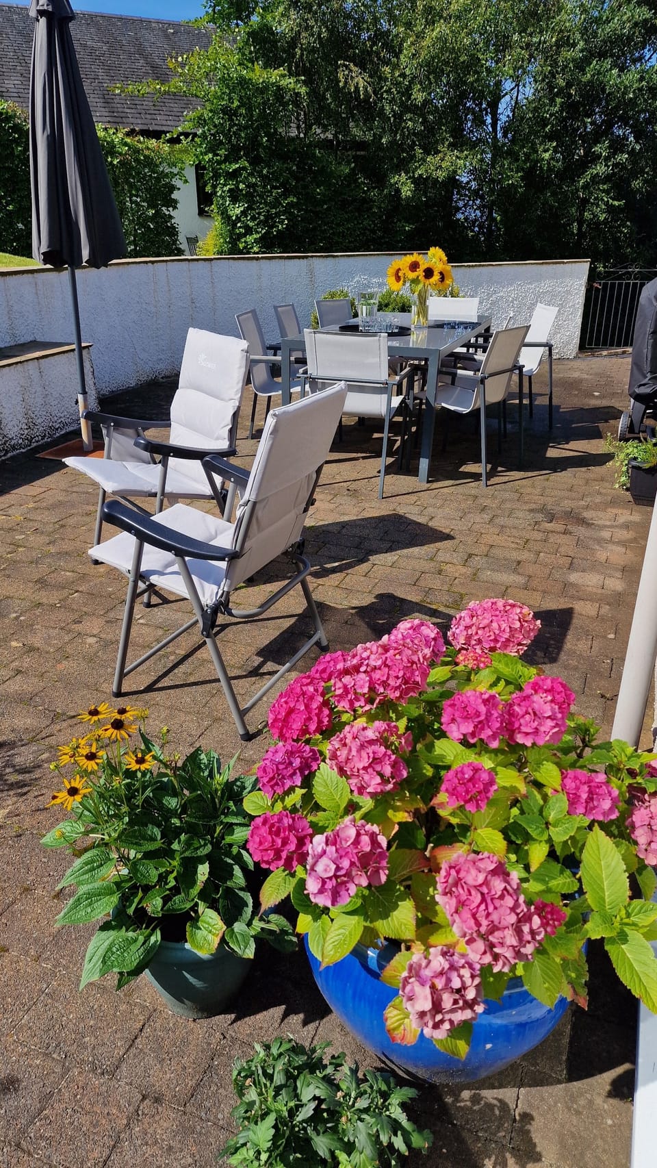 Patio area