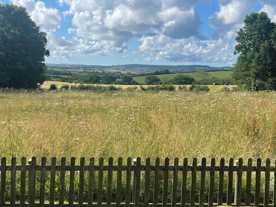 View from the back garden
