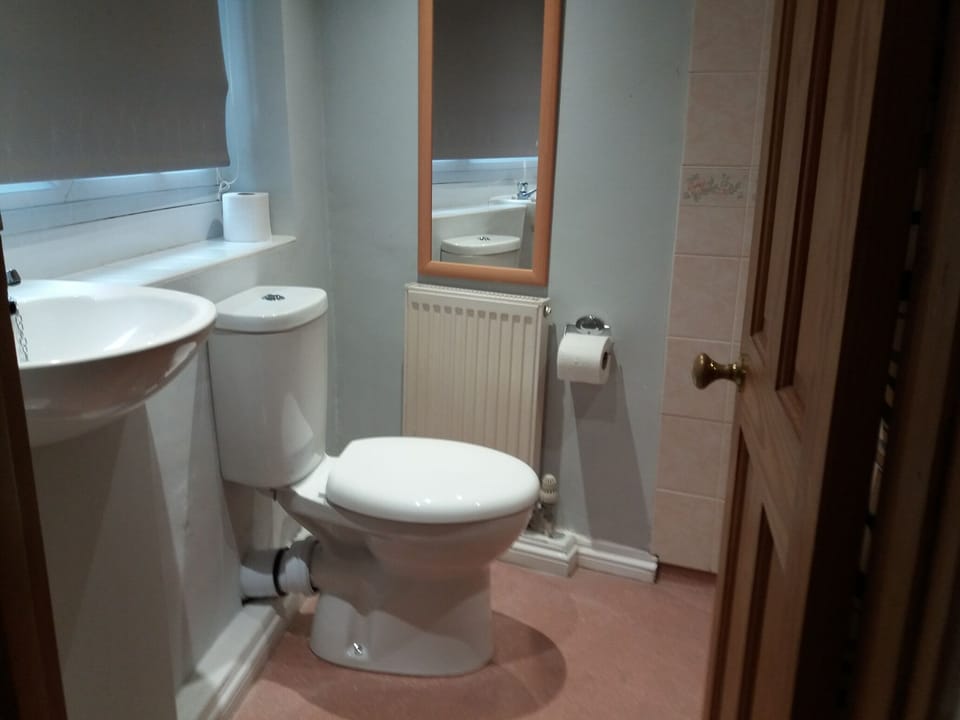 downstairs shower room and toilet