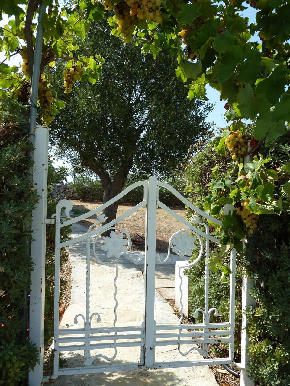 Gate to Pool