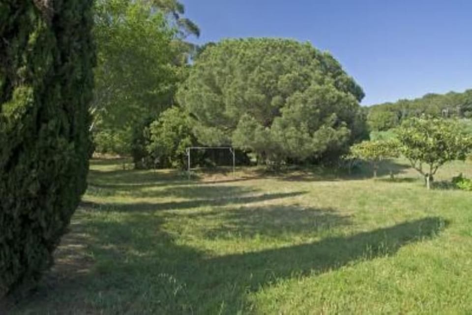 Garden, Park