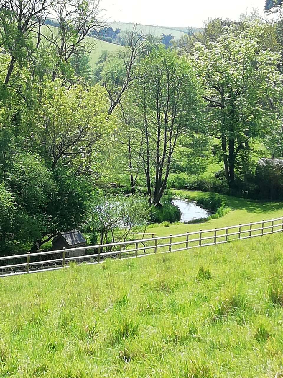 take a walk to the bottom of our fields to the pond area.