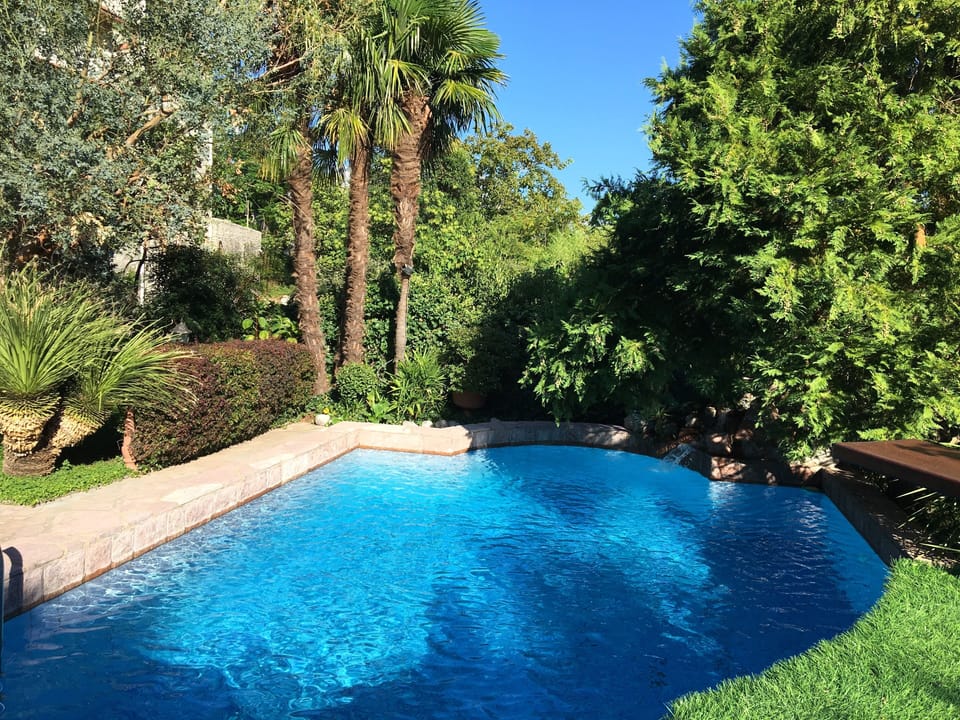 Mature tropical trees surrounding the pool area