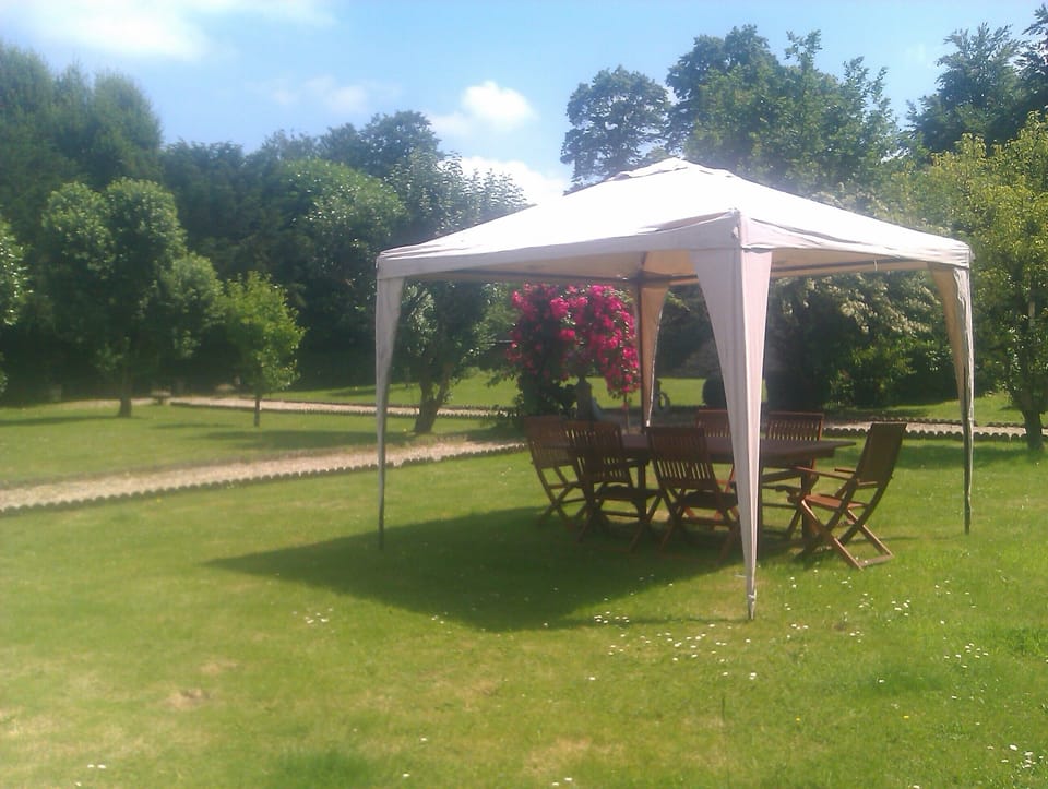 Back Garden
