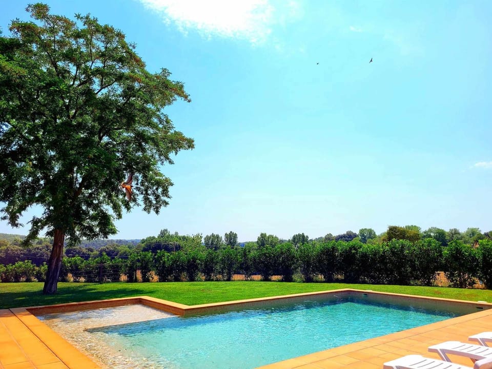 Pool view,Swimming pool