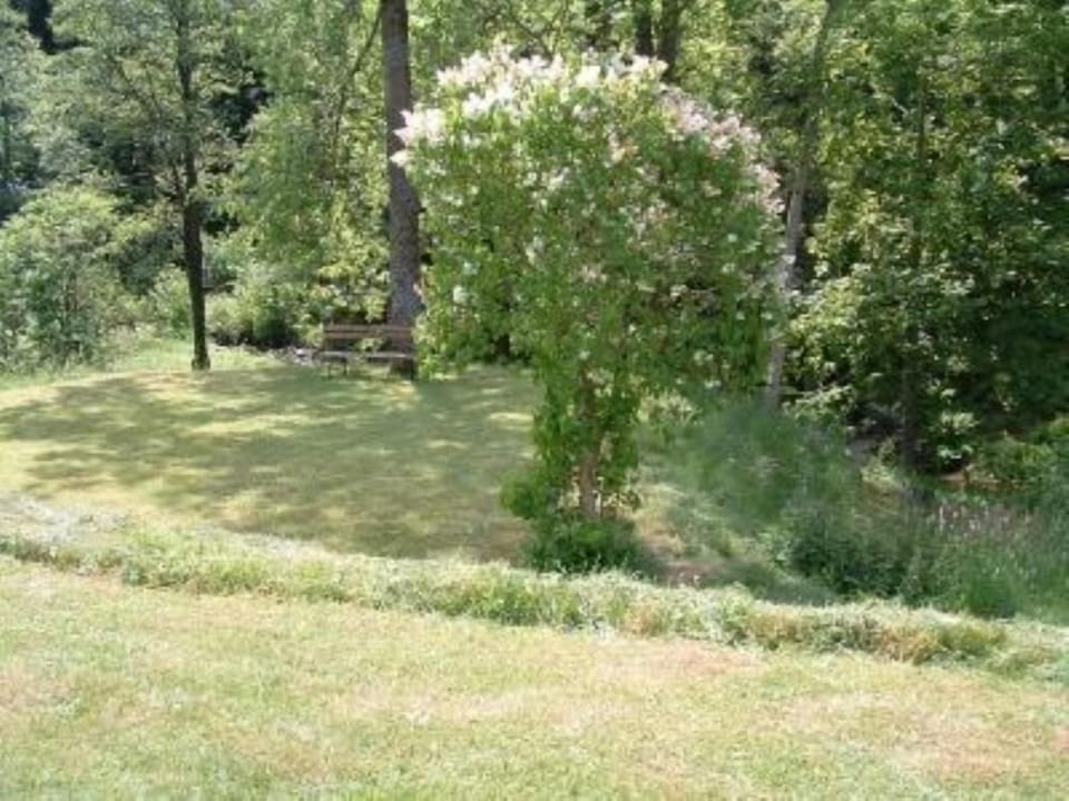 Garden, Park