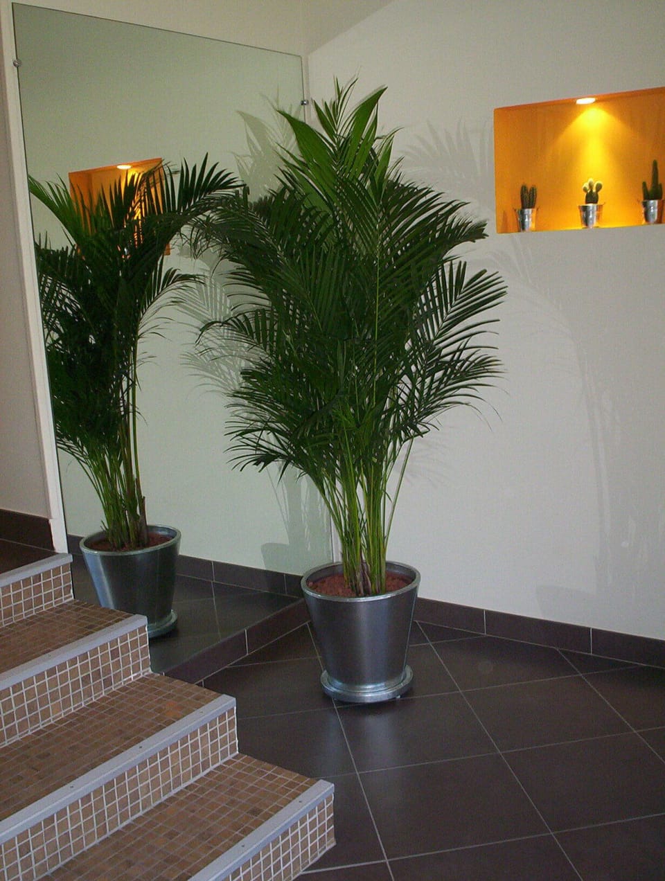 The hallway has an elevator to the apartment allowing wheelchair access.