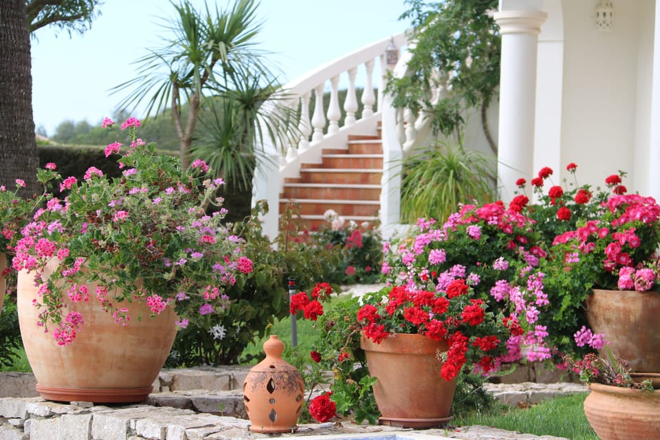 Outside stairs leading to the terrace.
