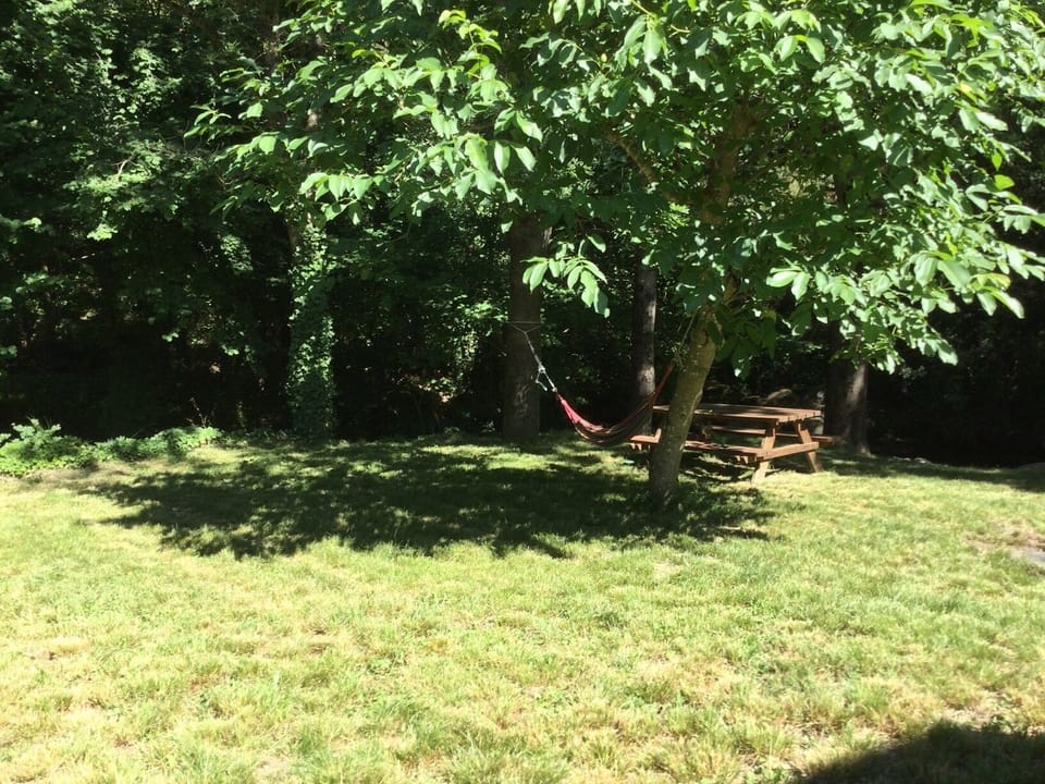Hammock & picnic table in shade