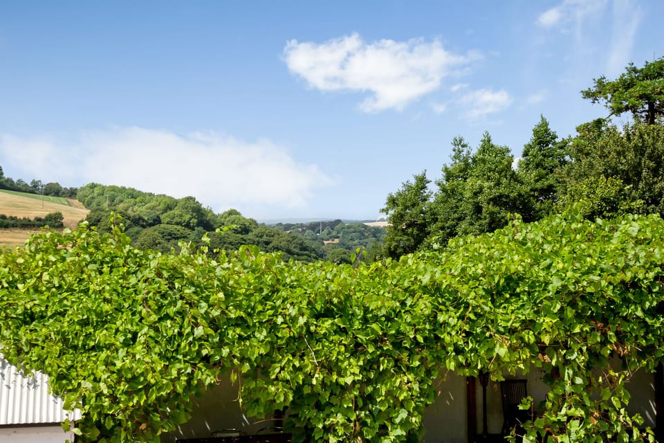 one of the views from the kitchen