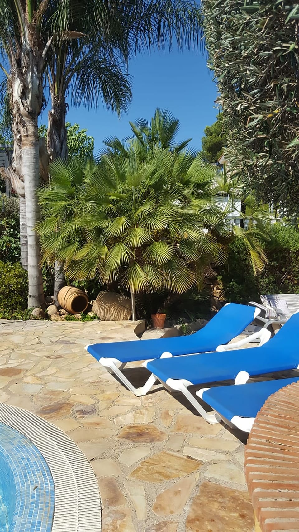 Very private sun bedding area with large botanical