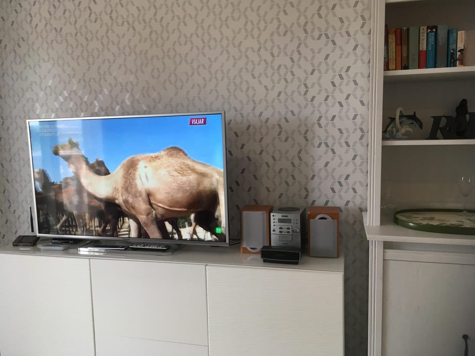 Large flat screen TV and speakers