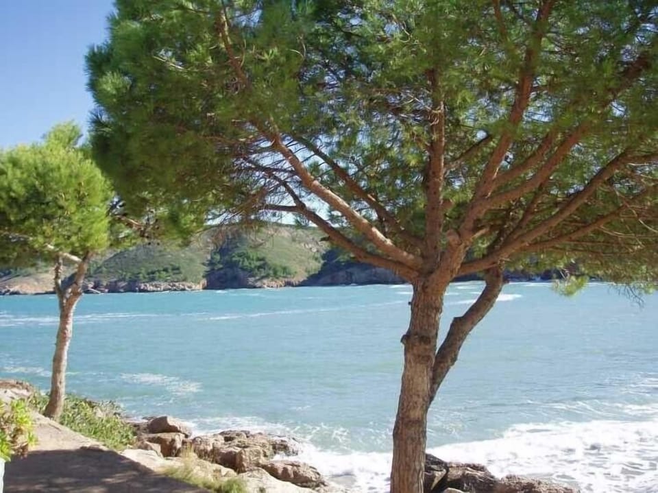 Montgo beach and bay at 1.300 mtrs.