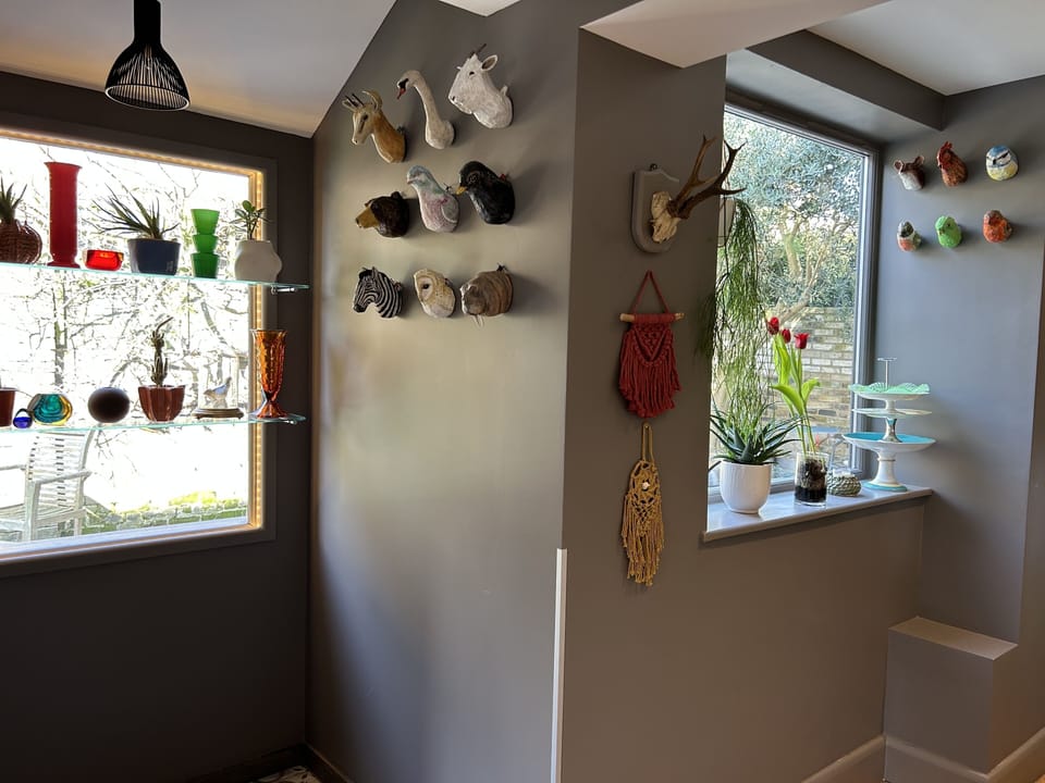 Kitchen window